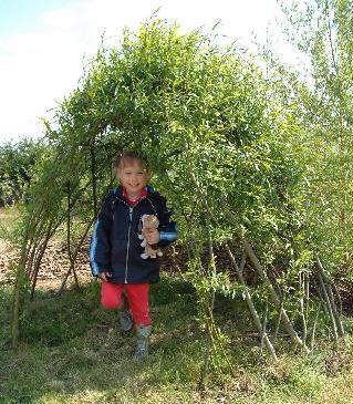 Buy Living Willow Small Dome Kit at Willows Nursery. Willow bower den. Willow Den bower