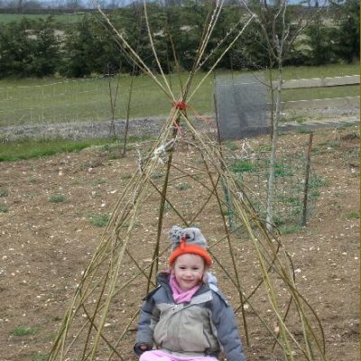 Buy Small Living Willow Wigwam Kit WK101 at Willows Nursery. Willow Tepee