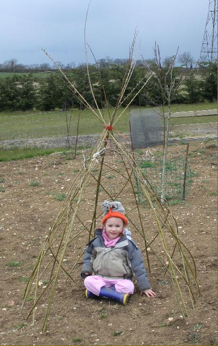 Buy Small Living Willow Wigwam Kit WK101 at Willows Nursery. Willow Tepee
