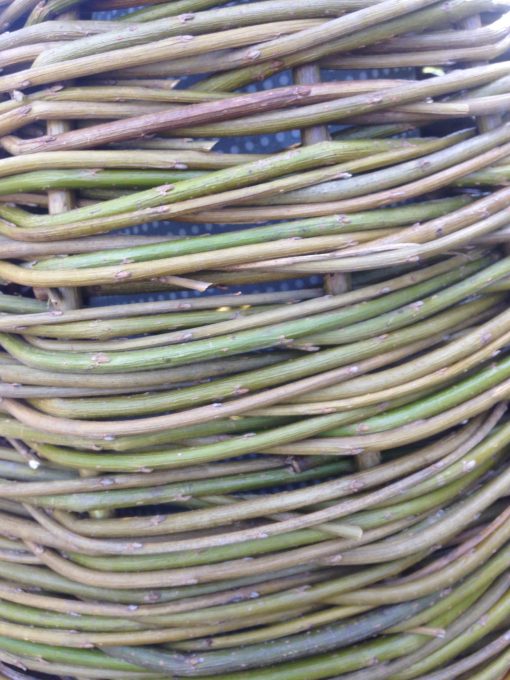 Buy. Weaving with 'dead' willow at Willows Nursery