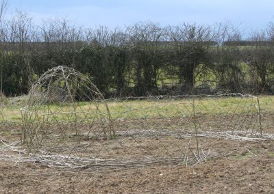 Buy Living Willow Dome Kit and Fedge Kits