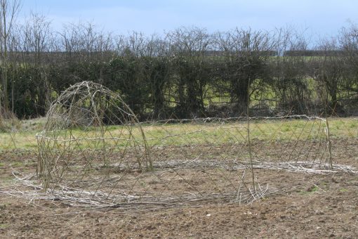 Buy Living Willow Dome Kit and Fedge Kits