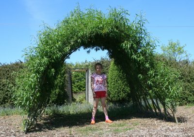 Buy. An extended version of our Living Willow Large Tunnel Kit WK122