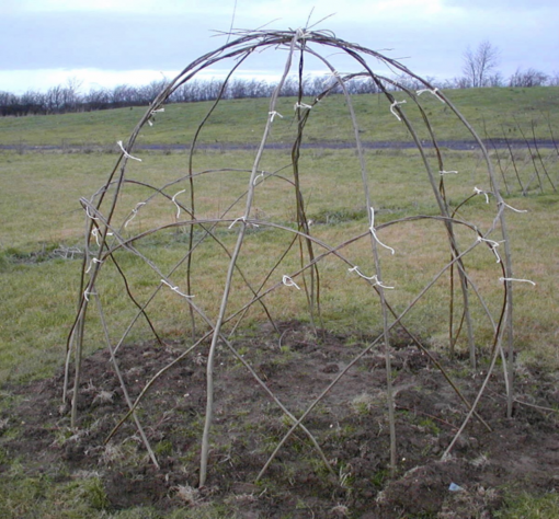 Buy. Living Willow Dome Kit at Willows Nursery - under construction. Willow den bower