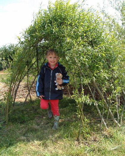 Buy Living Willow Small Dome Kit WK112 at Willows Nursery. willow den bower