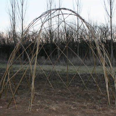 Buy Living Willow standard dome kit WK105 at Willows Nursery, just after planting. Willow bower den
