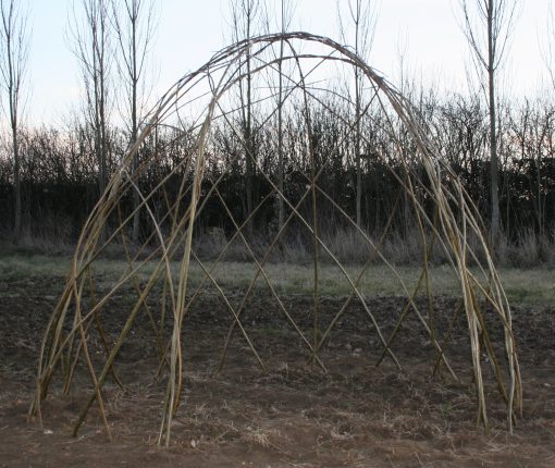 Buy Living Willow standard dome kit WK105 at Willows Nursery, just after planting. Willow bower den