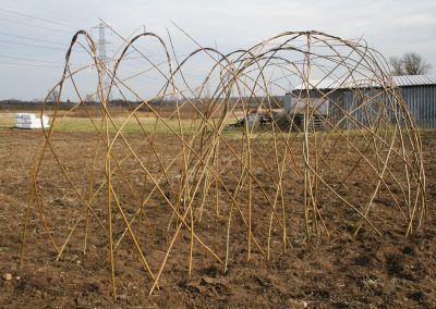 . . . combined with Mini Tunnel Kit WK110 to create an igloo. Shown as just planted.