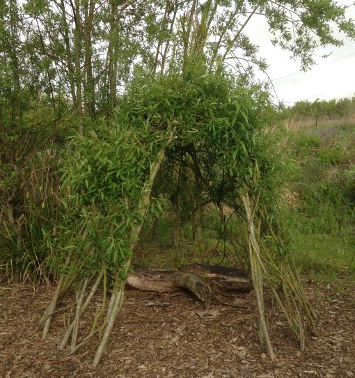Buy Living Willow Wigwam Kit WK100 at Willows Nursery. Willow Tepee