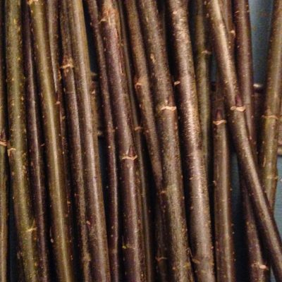Salix Triandra “Black Maul” - W778. Short willow cuttings
