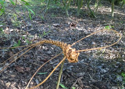 Easy willow weaving project. Dragonfly at Willows Nursery. Buy willow to make.