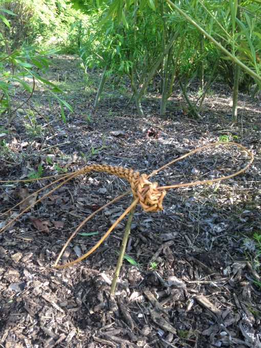 Easy willow weaving project. Dragonfly at Willows Nursery. Buy willow to make.