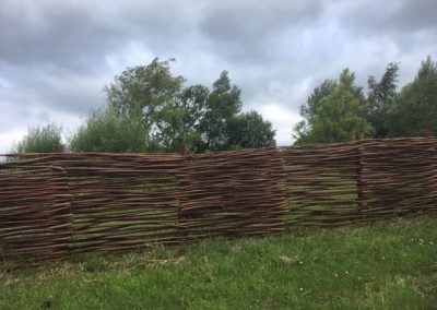 Woven willow fencing at Willows Nursery. Buy willow to make
