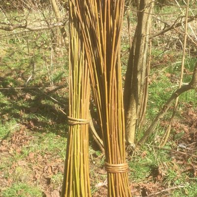 Buy weaving willow