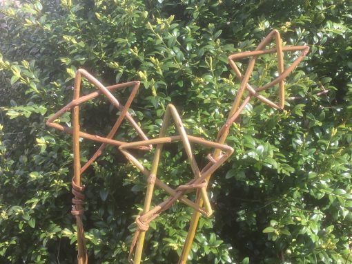 Willow Star. Made from a single willow whip at Willows Nursery. Buy willow to make.