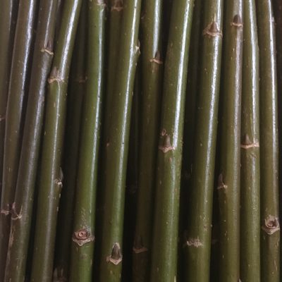 Salix Triandra “Petite Grisette” - W780. Short willow cuttings