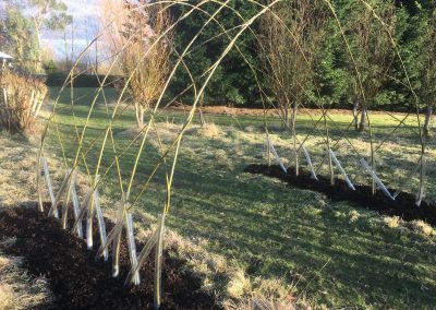 Living willow large tunnel structure kit from Willows Nursery