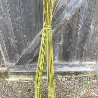 Willow for pet rabbits to chew