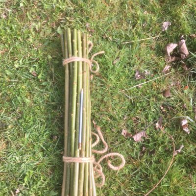 Willow for pet rabbits