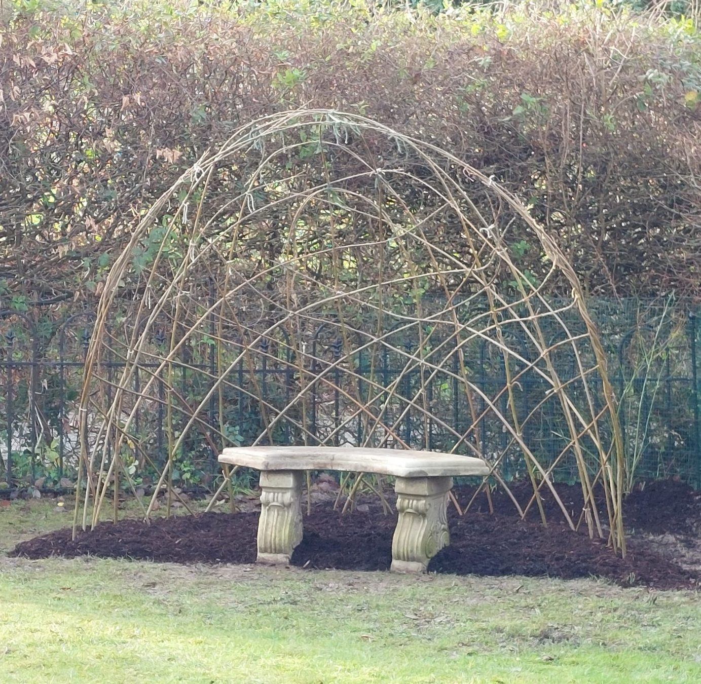 Living willow half bower kit from Willows Nursery